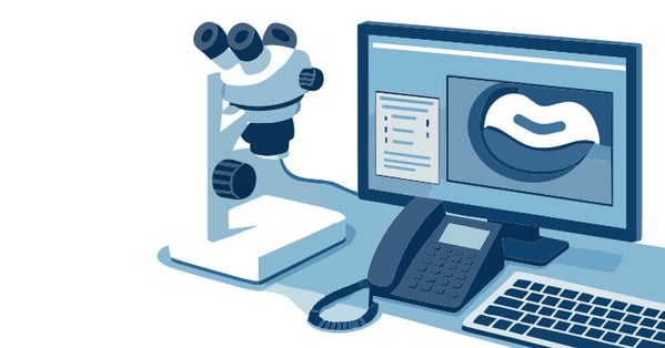 crimp-cross-section-graphic-700x367